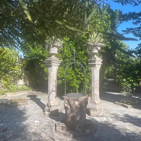 Guestrulli * Locorotondo